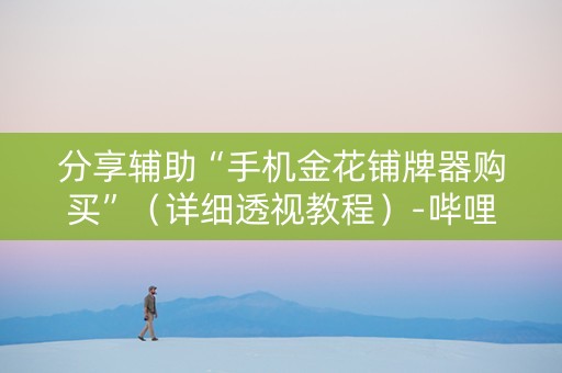分享辅助“手机金花铺牌器购买”（详细透视教程）-哔哩哔哩