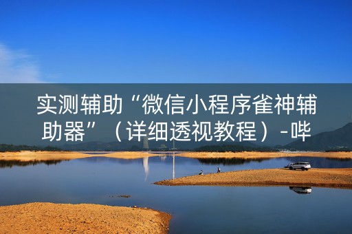实测辅助“微信小程序雀神辅助器”（详细透视教程）-哔哩哔哩