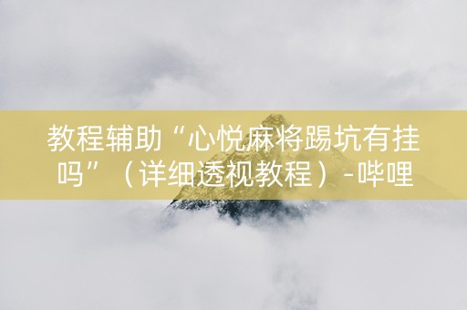 教程辅助“心悦麻将踢坑有挂吗”（详细透视教程）-哔哩哔哩