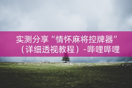 实测分享“情怀麻将控牌器”（详细透视教程）-哔哩哔哩