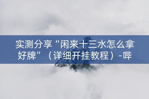 实测分享“闲来十三水怎么拿好牌”（详细开挂教程）-哔哩哔哩