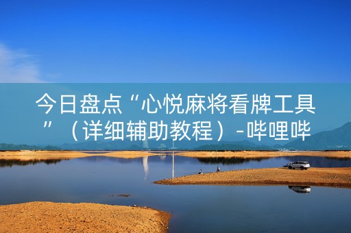 今日盘点“心悦麻将看牌工具”（详细辅助教程）-哔哩哔哩