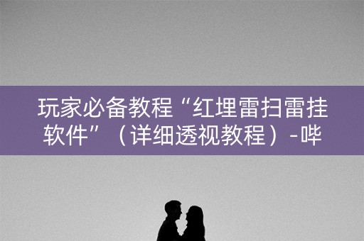 玩家必备教程“红埋雷扫雷挂软件”（详细透视教程）-哔哩哔哩
