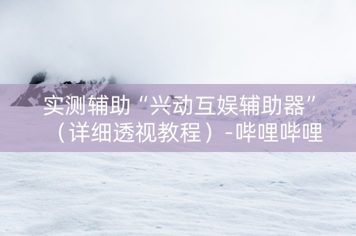 实测辅助“兴动互娱辅助器”（详细透视教程）-哔哩哔哩