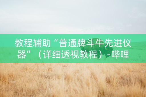 教程辅助“普通牌斗牛先进仪器”（详细透视教程）-哔哩哔哩