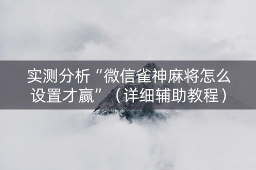 实测分析“微信雀神麻将怎么设置才赢”（详细辅助教程）-哔哩哔哩