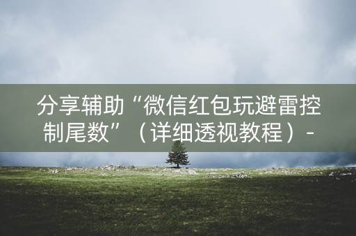 分享辅助“微信红包玩避雷控制尾数”（详细透视教程）-哔哩哔哩