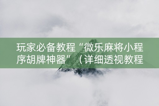玩家必备教程“微乐麻将小程序胡牌神器”（详细透视教程）-哔哩哔哩