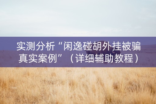 实测分析“闲逸碰胡外挂被骗真实案例”（详细辅助教程）-哔哩哔哩