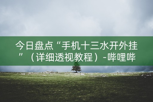 今日盘点“手机十三水开外挂”（详细透视教程）-哔哩哔哩