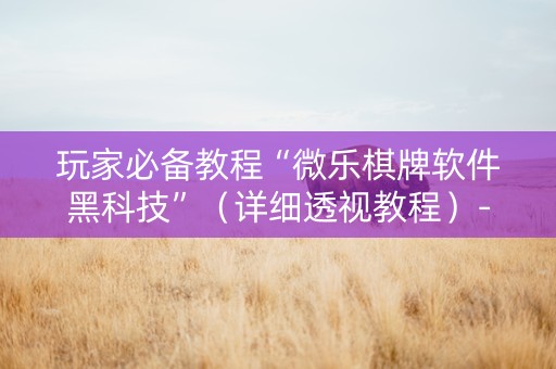 玩家必备教程“微乐棋牌软件黑科技”（详细透视教程）-哔哩哔哩