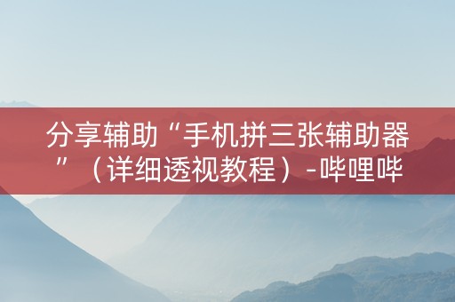 分享辅助“手机拼三张辅助器”（详细透视教程）-哔哩哔哩