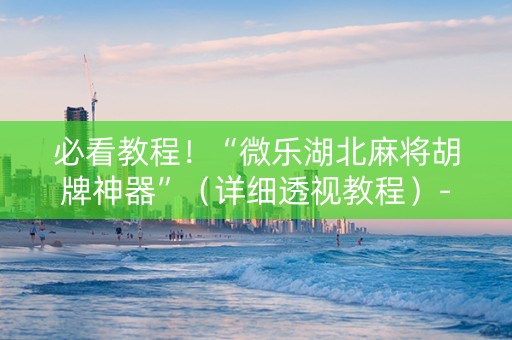 必看教程！“微乐湖北麻将胡牌神器”（详细透视教程）-哔哩哔哩