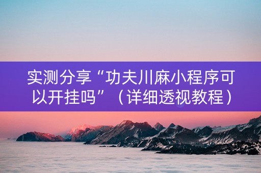实测分享“功夫川麻小程序可以开挂吗”（详细透视教程）-哔哩哔哩