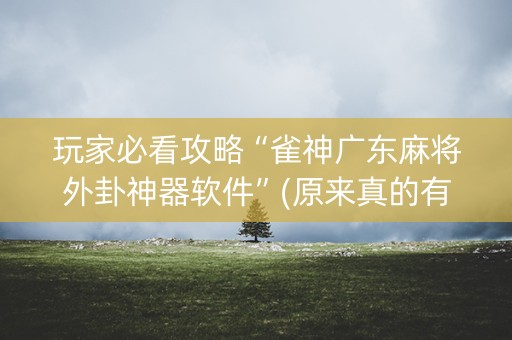 玩家必看攻略“雀神广东麻将外卦神器软件”(原来真的有挂)-知乎