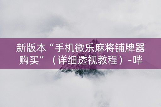 新版本“手机微乐麻将铺牌器购买”（详细透视教程）-哔哩哔哩