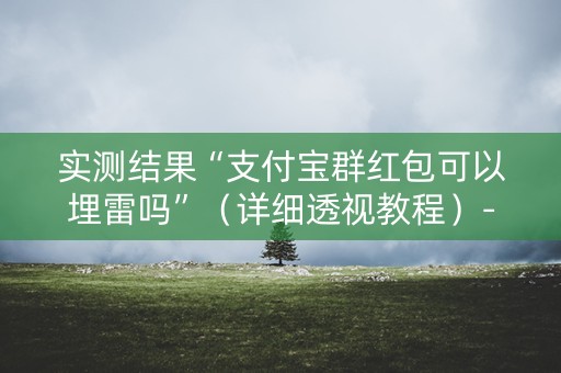 实测结果“支付宝群红包可以埋雷吗”（详细透视教程）-哔哩哔哩