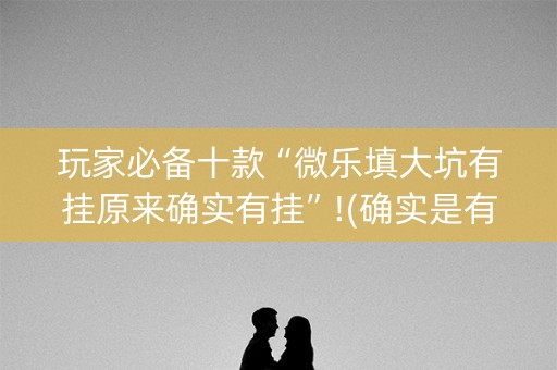 玩家必备十款“微乐填大坑有挂原来确实有挂”!(确实是有挂)-知乎