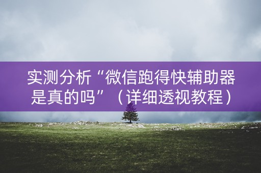 实测分析“微信跑得快辅助器是真的吗”（详细透视教程）-哔哩哔哩