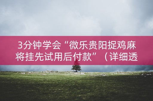 3分钟学会“微乐贵阳捉鸡麻将挂先试用后付款”（详细透视教程）-哔哩哔哩