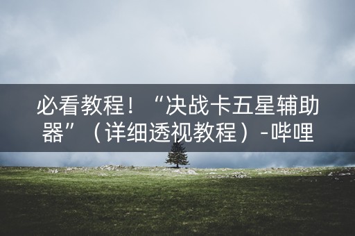 必看教程！“决战卡五星辅助器”（详细透视教程）-哔哩哔哩