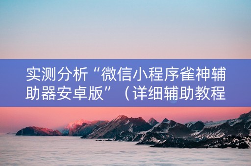 实测分析“微信小程序雀神辅助器安卓版”（详细辅助教程）-哔哩哔哩