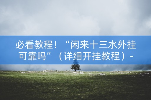 必看教程！“闲来十三水外挂可靠吗”（详细开挂教程）-哔哩哔哩