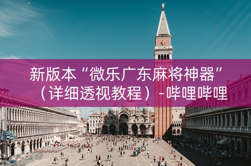 新版本“微乐广东麻将神器”（详细透视教程）-哔哩哔哩