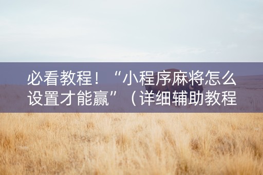 必看教程！“小程序麻将怎么设置才能赢”（详细辅助教程）-哔哩哔哩