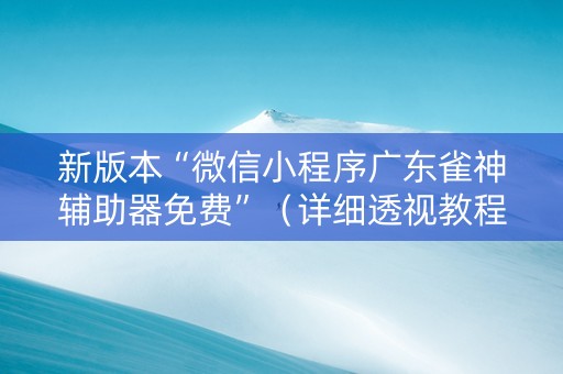 新版本“微信小程序广东雀神辅助器免费”（详细透视教程）-哔哩哔哩