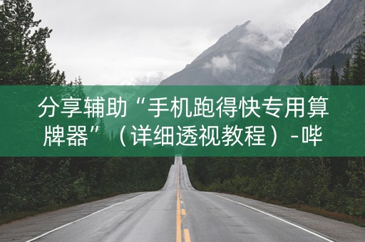 分享辅助“手机跑得快专用算牌器”（详细透视教程）-哔哩哔哩