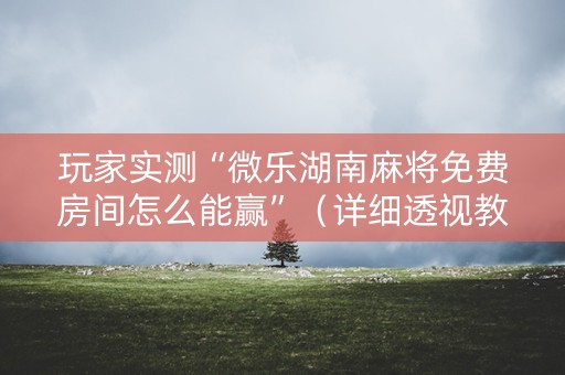 玩家实测“微乐湖南麻将免费房间怎么能赢”（详细透视教程）-哔哩哔哩