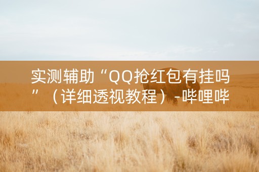 实测辅助“QQ抢红包有挂吗”（详细透视教程）-哔哩哔哩