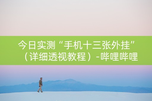 今日实测“手机十三张外挂”（详细透视教程）-哔哩哔哩