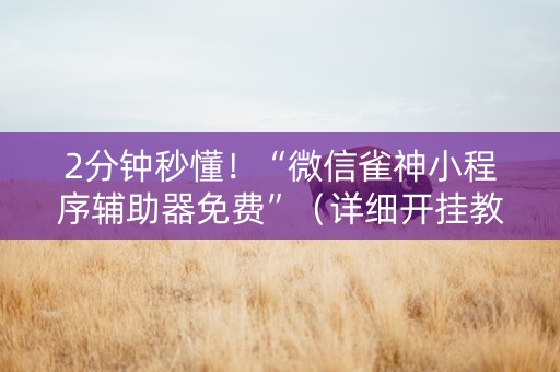 2分钟秒懂！“微信雀神小程序辅助器免费”（详细开挂教程）-哔哩哔哩