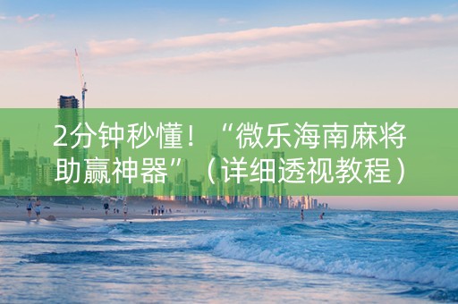 2分钟秒懂！“微乐海南麻将助赢神器”（详细透视教程）-哔哩哔哩