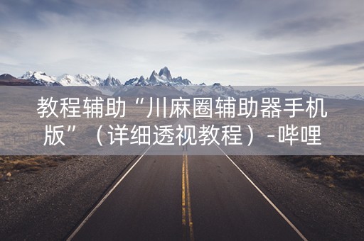 教程辅助“川麻圈辅助器手机版”（详细透视教程）-哔哩哔哩