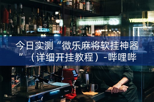 今日实测“微乐麻将软挂神器”（详细开挂教程）-哔哩哔哩