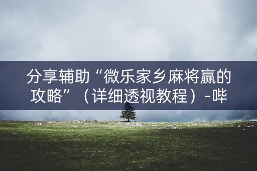 分享辅助“微乐家乡麻将赢的攻略”（详细透视教程）-哔哩哔哩