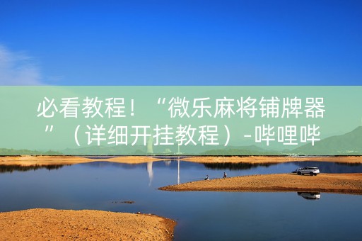 必看教程！“微乐麻将铺牌器”（详细开挂教程）-哔哩哔哩