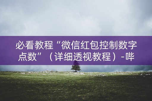 必看教程“微信红包控制数字点数”（详细透视教程）-哔哩哔哩