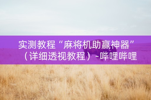 实测教程“麻将机助赢神器”（详细透视教程）-哔哩哔哩