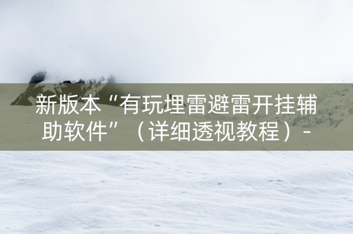 新版本“有玩埋雷避雷开挂辅助软件”（详细透视教程）-哔哩哔哩
