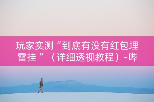 玩家实测“到底有没有红包埋雷挂 ”（详细透视教程）-哔哩哔哩