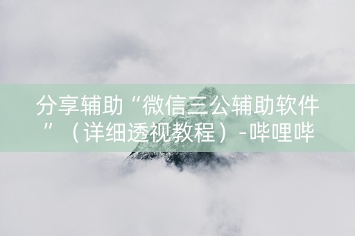 分享辅助“微信三公辅助软件”（详细透视教程）-哔哩哔哩