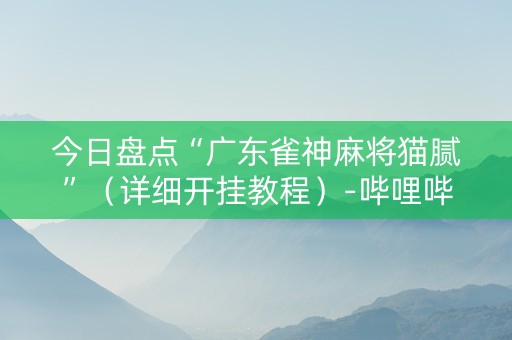 今日盘点“广东雀神麻将猫腻”（详细开挂教程）-哔哩哔哩