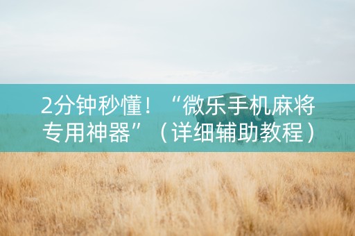 2分钟秒懂！“微乐手机麻将专用神器”（详细辅助教程）-哔哩哔哩
