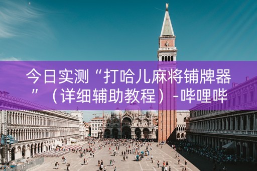 今日实测“打哈儿麻将铺牌器”（详细辅助教程）-哔哩哔哩