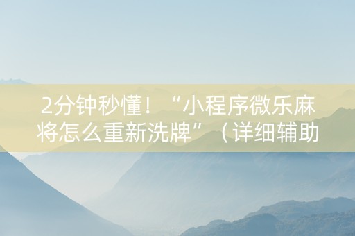 2分钟秒懂！“小程序微乐麻将怎么重新洗牌”（详细辅助教程）-哔哩哔哩