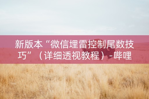 新版本“微信埋雷控制尾数技巧”（详细透视教程）-哔哩哔哩